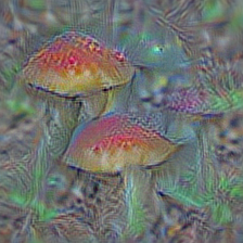 n12998815 agaric